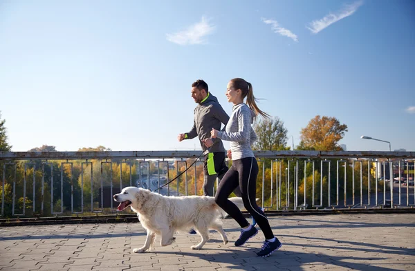 Feliz pareja con perro corriendo al aire libre —  Fotos de Stock