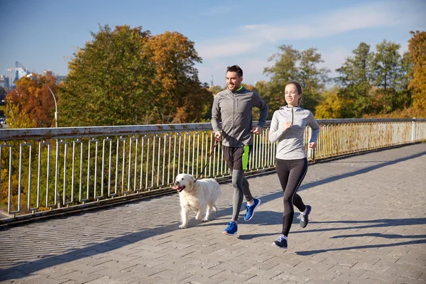 Happy couple with dog running outdoors — Stock Photo, Image