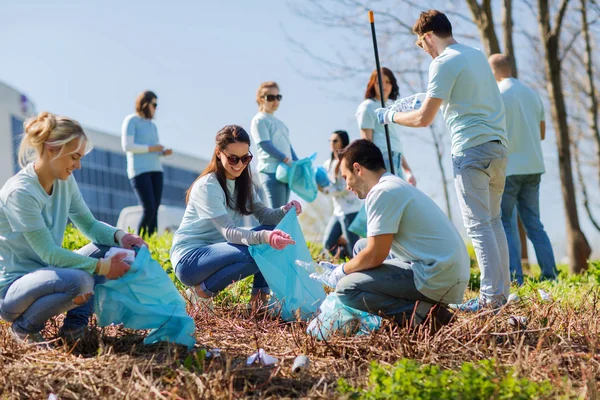 Volunteers cleaning nature together