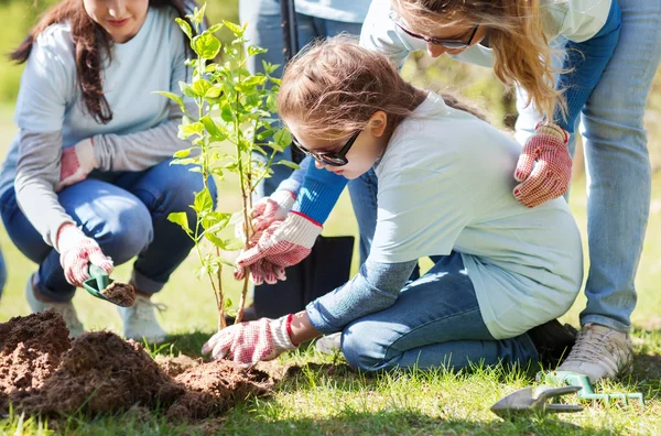 Gruppo di volontari che piantano alberi nel parco — Foto Stock