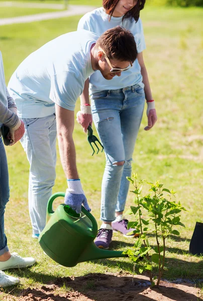 Grupp av frivilliga plantering och vattna träd — Stockfoto