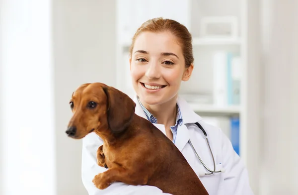 Médico feliz com cão na clínica veterinária — Fotografia de Stock