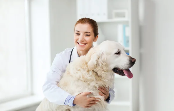 Médico feliz com cão retriever na clínica veterinária — Fotografia de Stock