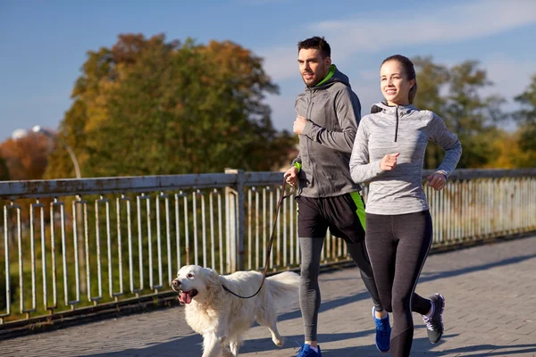 happy couple with dog running outdoors