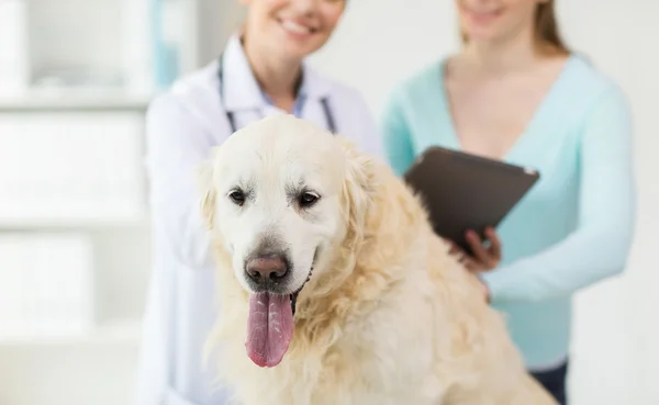 Close-up de veterinário com tablet pc e cão na clínica — Fotografia de Stock