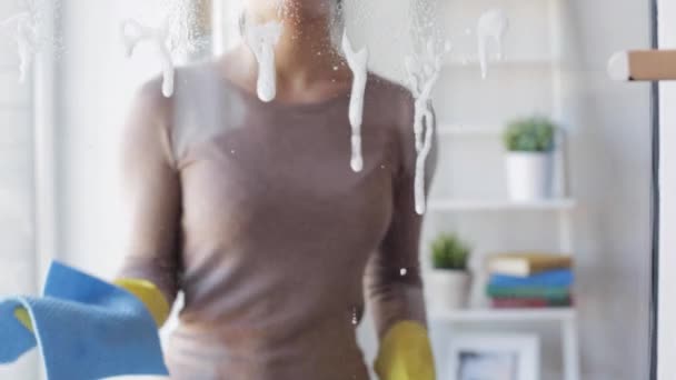 Mulher luvas de para tarefas domésticas vídeo, footage sem royalties © #114881904