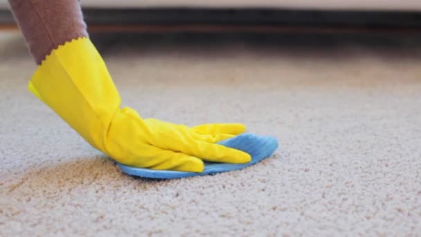 Woman in gloves cleaning carpet or rug with rag — Stock Video