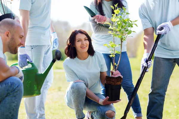 Groep vrijwilligers die bomen planten in het park — Stockfoto