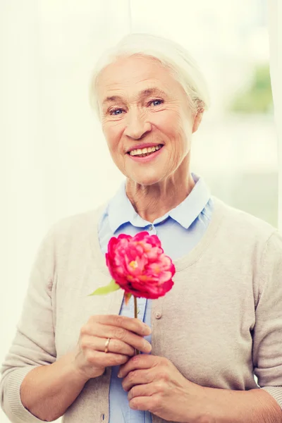 꽃 집에서 행복 한 미소 고위 여자 — 스톡 사진