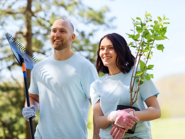 Coppia di volontari con alberi e rastrello nel parco — Foto Stock