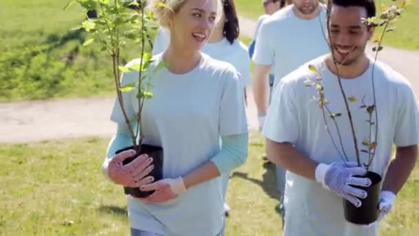 Groep vrijwilligers met boomzaailingen in het park — Stockvideo