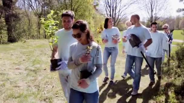 Group of volunteers with tree seedlings in park — Stock Video