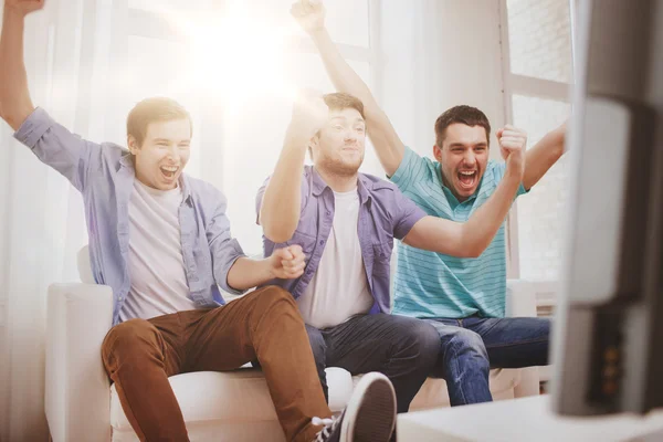 Happy male friends at home — Stock Photo, Image