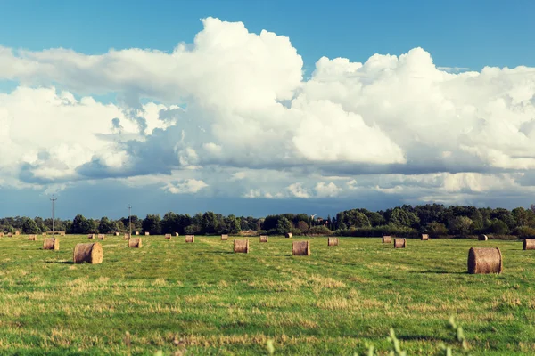 Pajar o rollos de heno en el campo de verano —  Fotos de Stock