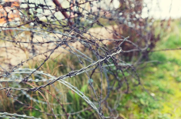 Barb wire fence over gray sky — Stock Photo, Image
