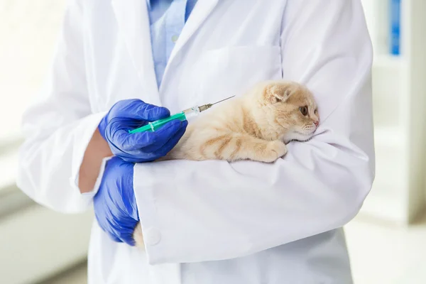 Primo piano del vaccino veterinario per la produzione di gattini in clinica — Foto Stock