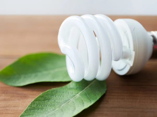 Primo piano di lampadina a risparmio energetico e foglia verde — Foto Stock