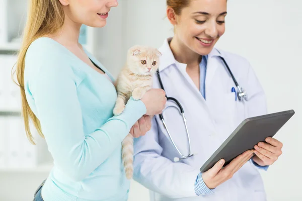 Close up of vet with tablet pc and cat at clinic — Stock Photo, Image