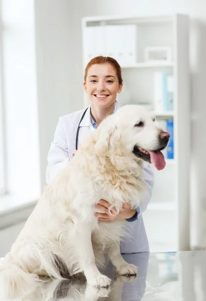 Glada läkare med retriever hund på veterinär klinik — Stockfoto