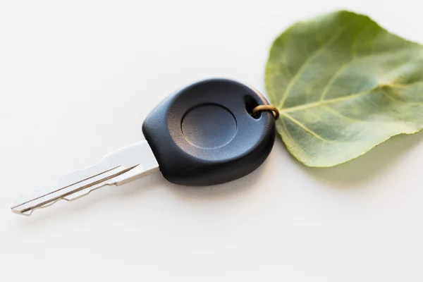 Primer plano de la llave del coche y la hoja verde — Foto de Stock