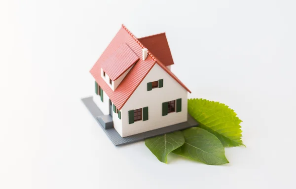 A ház modell és a zöld levelek közelről — Stock Fotó