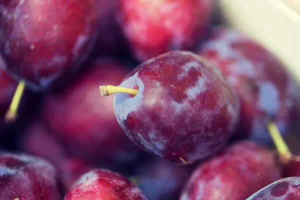 Close up de satsuma ameixas em caixa no mercado de rua — Fotografia de Stock