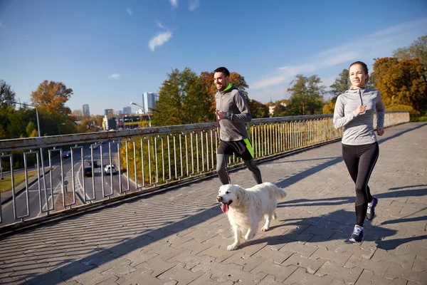 Lyckliga par med hund kör utomhus — Stockfoto