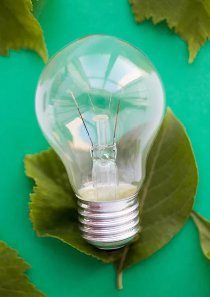 Primer plano de la bombilla o lámpara incandescente en verde — Foto de Stock
