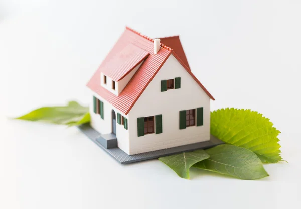 Close up de modelo de casa e folhas verdes — Fotografia de Stock