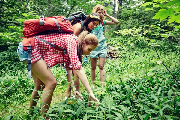 Gruppo di amici sorridenti con zaini trekking — Foto Stock