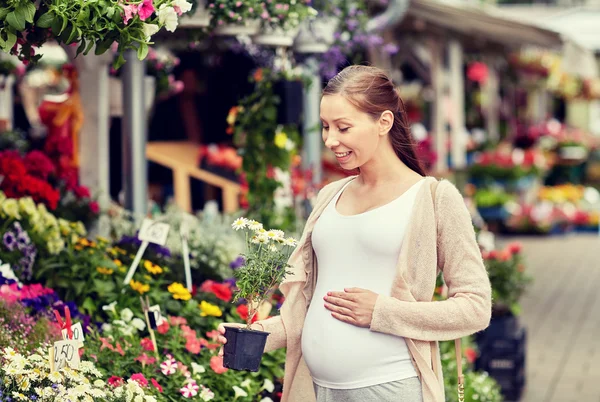 Mujer embarazada eligiendo flores en el mercado callejero —  Fotos de Stock