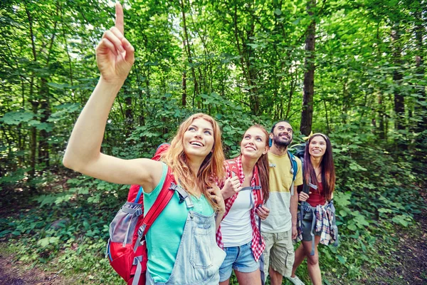 Grupo de amigos sonrientes con mochilas senderismo —  Fotos de Stock