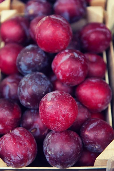 Primer plano de las ciruelas satsuma en caja en el mercado callejero —  Fotos de Stock