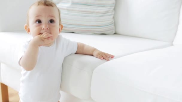 Petit bébé debout et tenant au canapé à la maison 24 — Video