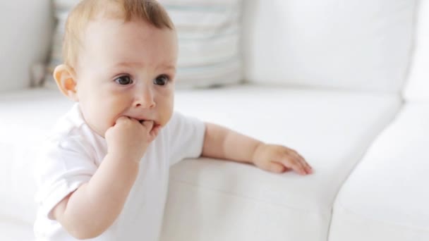 Little baby standing and holding to sofa at home 26 — Stock video