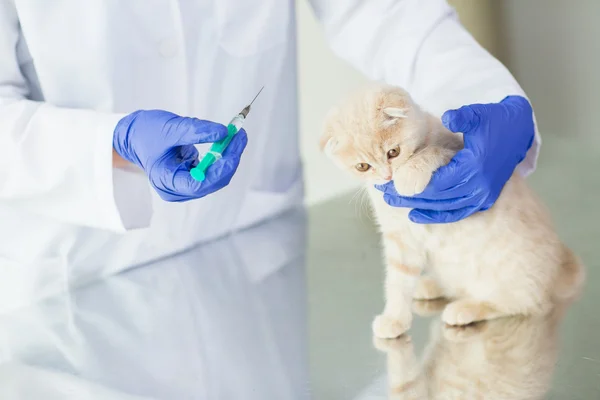 Close-up de veterinário fazendo vacina para gatinho na clínica — Fotografia de Stock