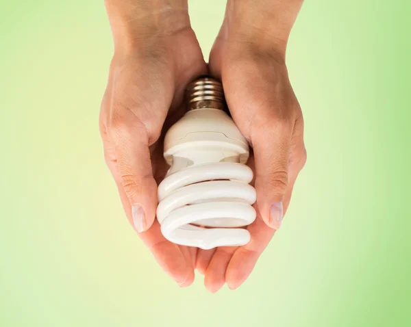 Fechar as mãos segurando lâmpada economizadora de energia — Fotografia de Stock