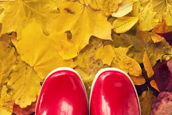 Primer plano de botas de goma roja en hojas de otoño —  Fotos de Stock