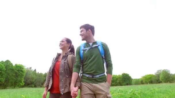 バックパックと幸せなカップルは、田舎道1を歩きます — ストック動画