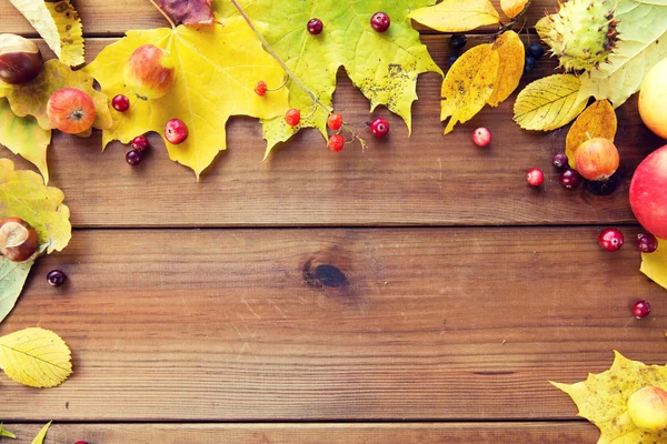 Rama jesień liście, owoce i jagody na drewno — Zdjęcie stockowe