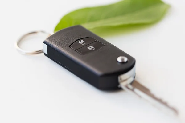 Primer plano de la llave del coche y la hoja verde — Foto de Stock