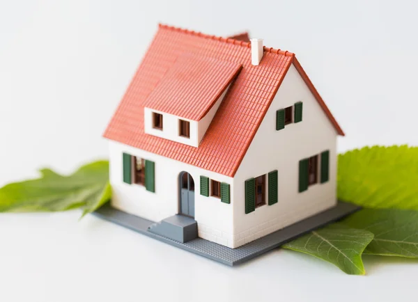 Close up de modelo de casa e folhas verdes — Fotografia de Stock