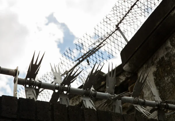Närbild på stängsel med taggtråd och mesh — Stockfoto