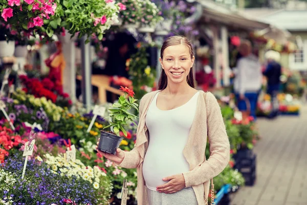 Pregnant woman choosing flowers at street market — Stock Photo, Image