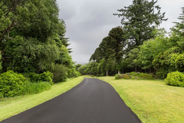 Route asphaltée à connemara en Irlande — Photo