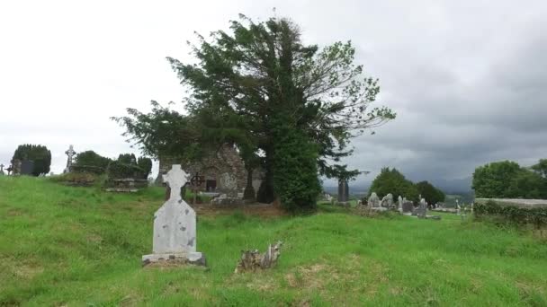 Old celtic cemetery graveyard in ireland 62 — Stock Video