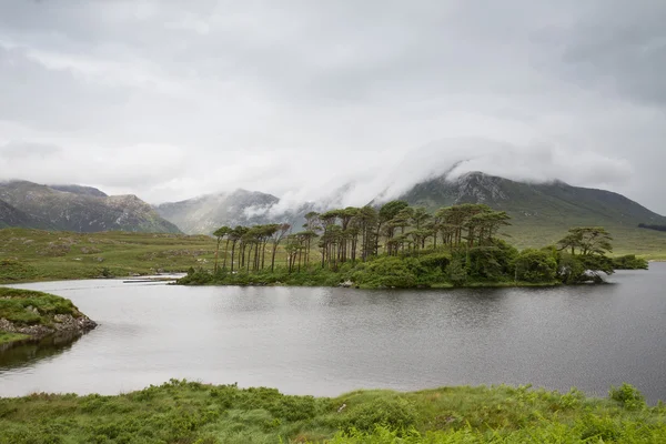 Vue sur l'île dans le lac ou la rivière à ireland — Photo