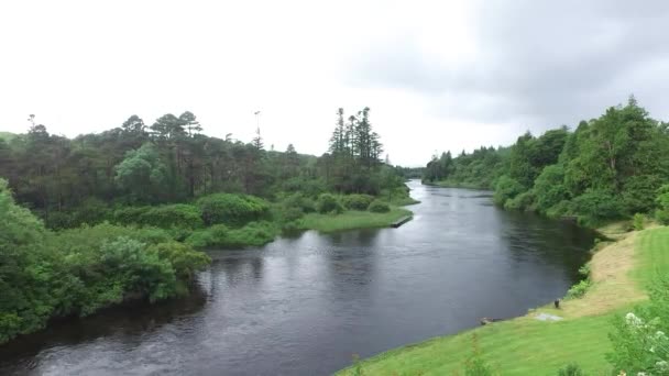 Vista sul fiume nella valle dell'Irlanda 10 — Video Stock