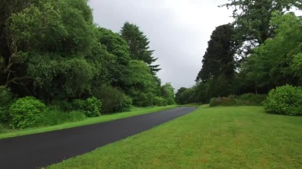 Camino de asfalto en connemara en Irlanda 13 — Vídeo de stock