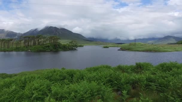 Vista para a ilha no lago ou rio na Irlanda 25 — Vídeo de Stock